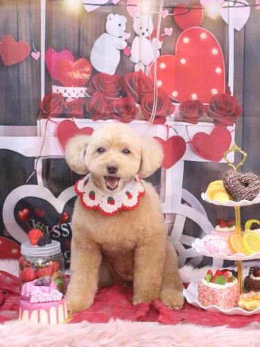 20250227モンチちゃん